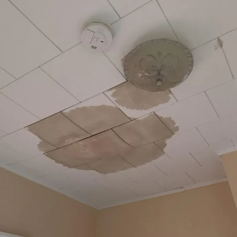Ceiling Water Damage Repair in Chemung County, NY