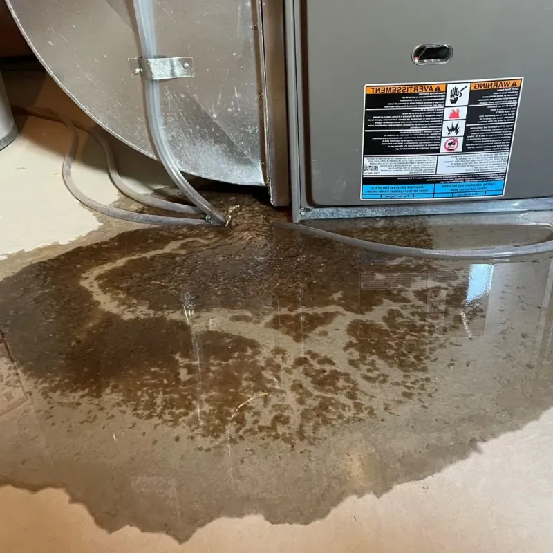 Pipe Burst and Leak Restoration in Chemung County, NY